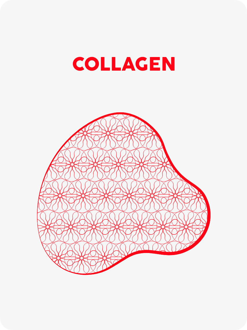 Collagen card